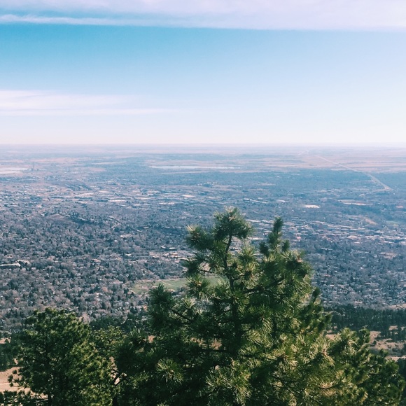 Meet your Posher, Alanis - Picture 3 of 4